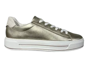 Ara Canberra 3.0 Ladies Laced Shoe 23003-11