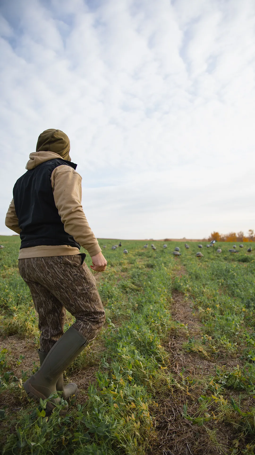 Bonded Fleece Field Pant