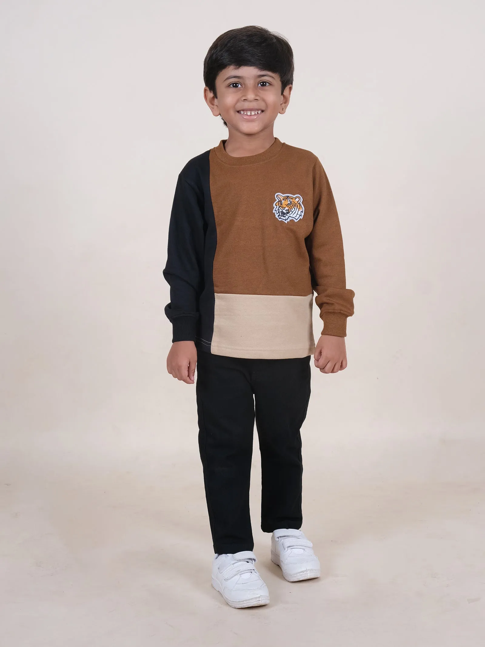 Fleece Full Sleeves Colour Block Cut & Sew Sweatshirt With Applique