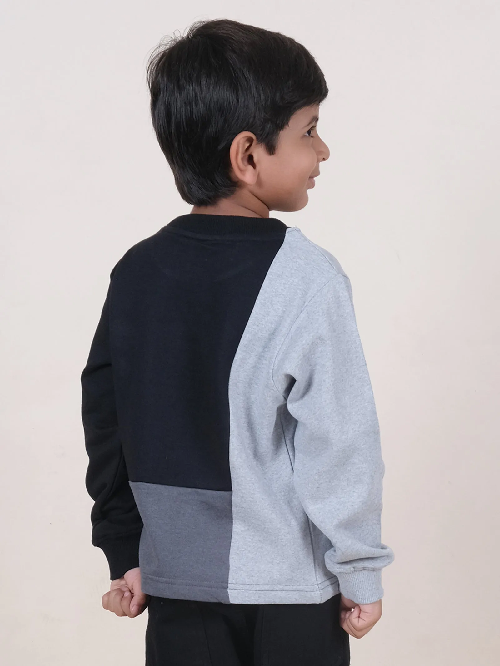 Fleece Full Sleeves Colour Block Cut & Sew Sweatshirt With Applique